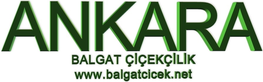 Ankara balgat �i�ek�ileri