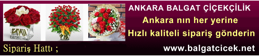 �i�ek�i balgat Ankara