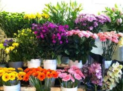 Ankara balgat �i�ek�ileri