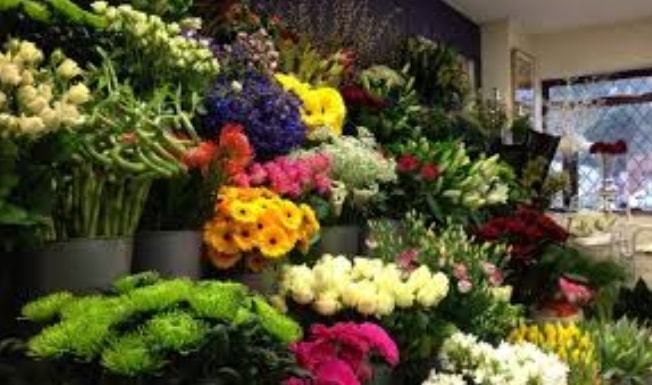 Ankara �i�ek�i balgat firmalar�